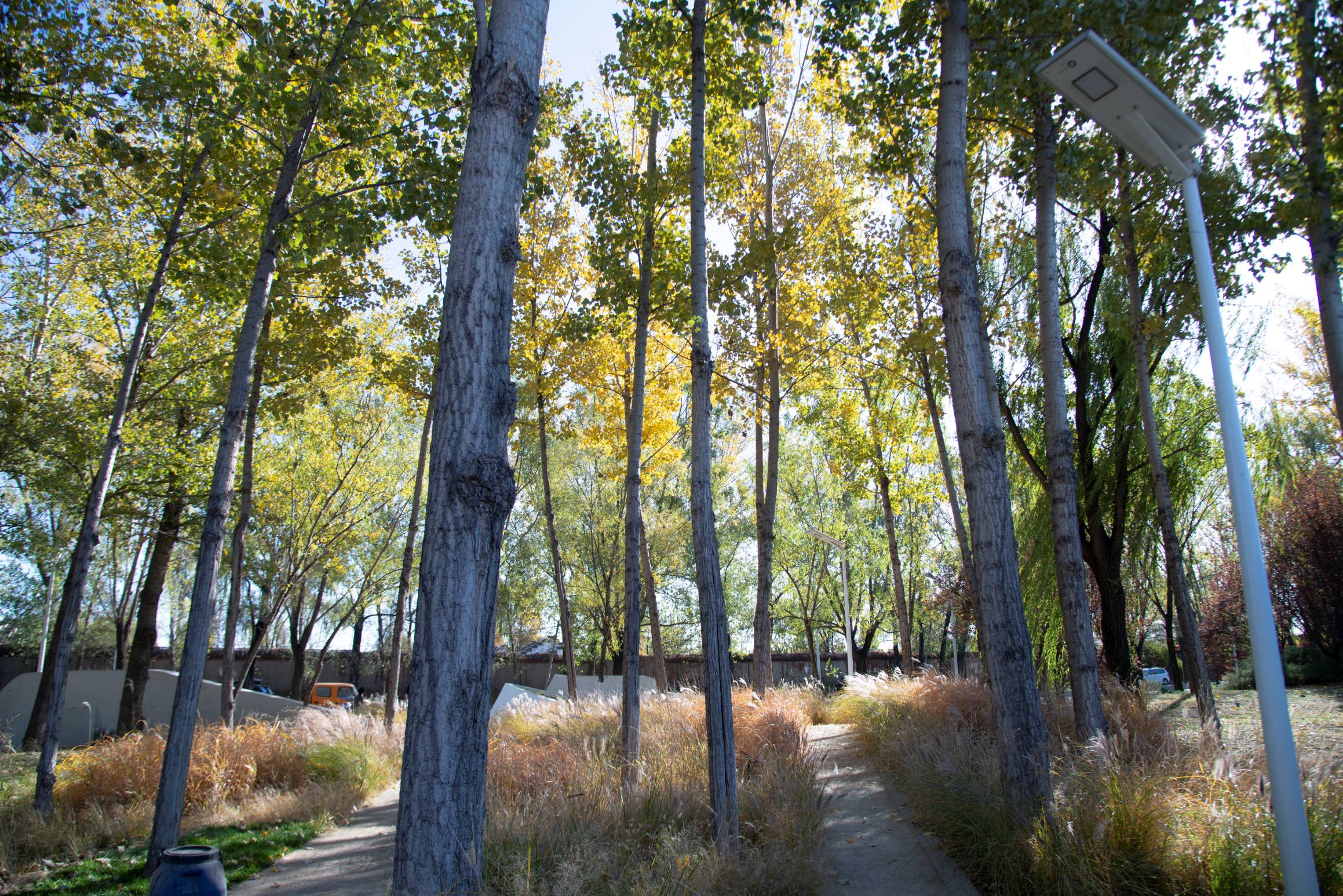 Beijing LONGFOR G-Park