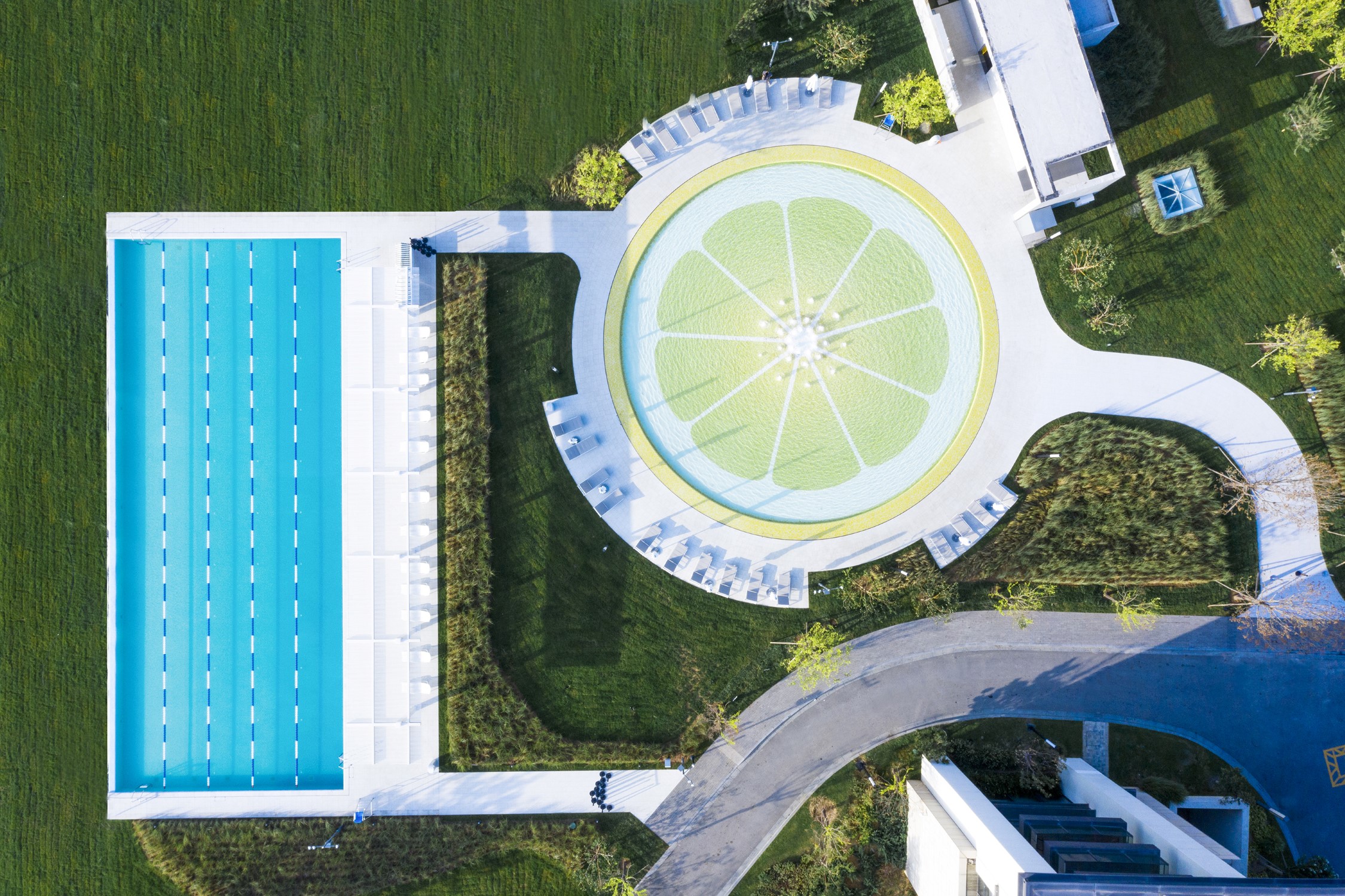 Aranya Residential Swimming Pool-Lemon Pool