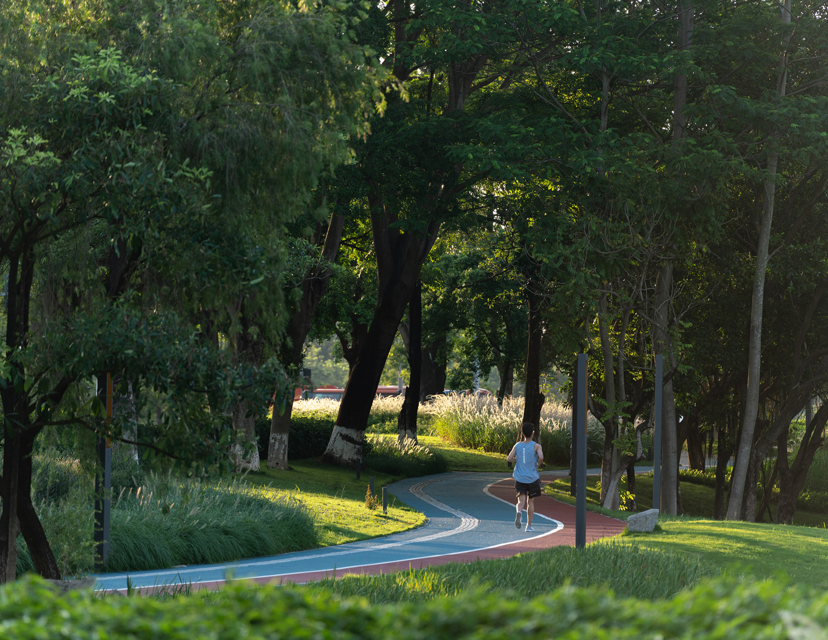 Ecological Restoration into a lakefront urban realm