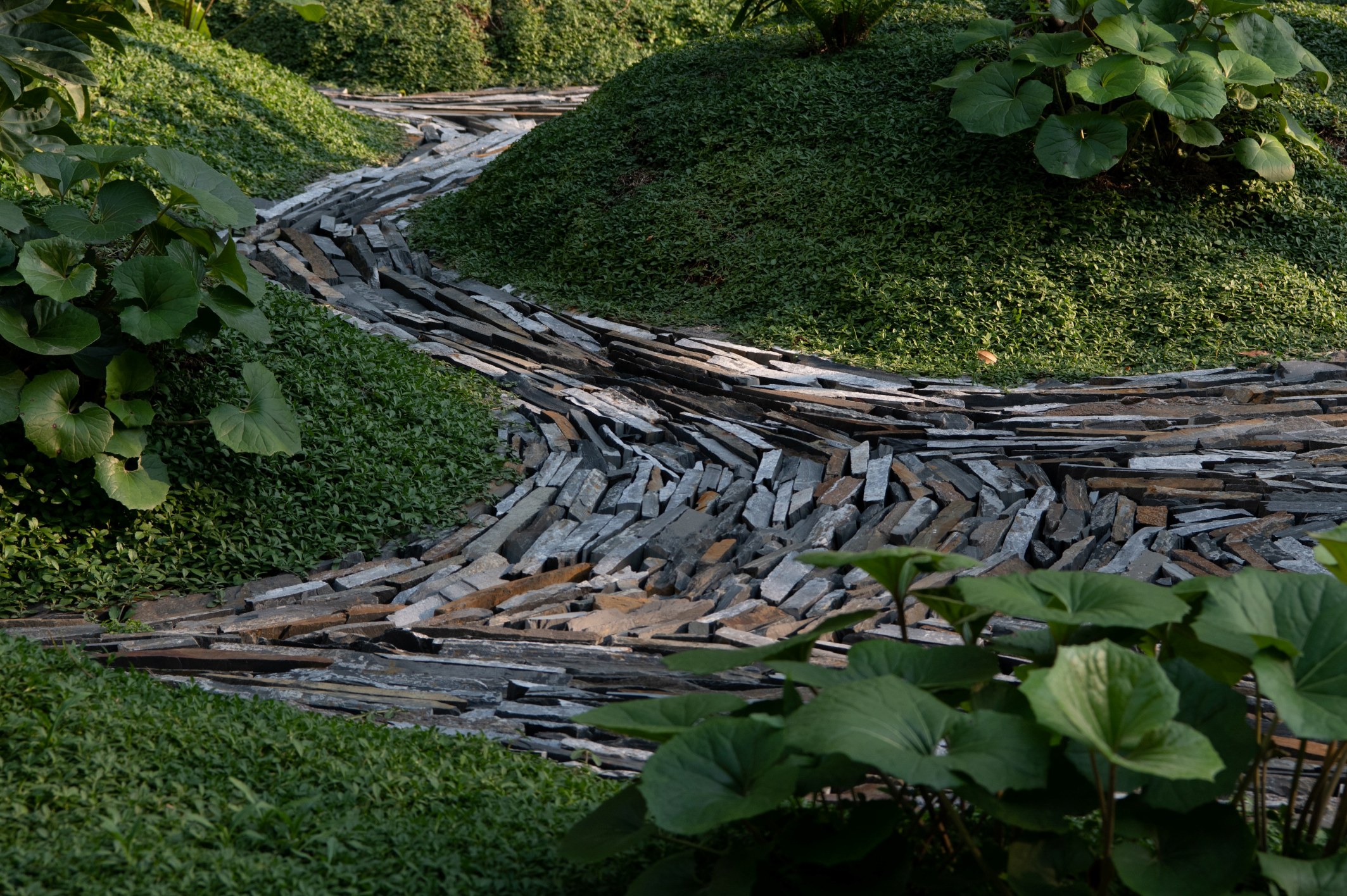 Hangzhou FOREST RESIDENCE