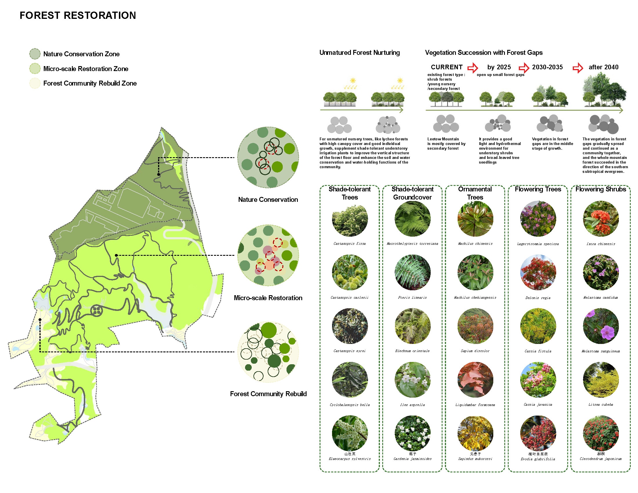 Leetow Mountain Restoration & Recreation Planning