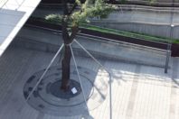 雄安高质量生活试验区