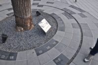 雄安高质量生活试验区