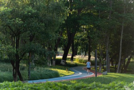 [:en]Ecological Restoration into a lakefront urban realm[:zh]东莞松山湖中心区通湖礼廊改造提升[:]