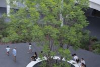 成都此地