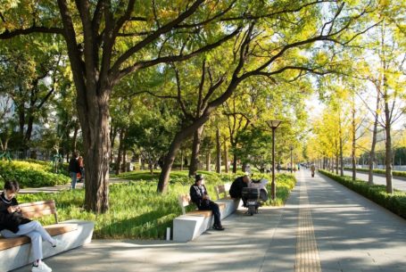 [:en]Beijing Zhongguancun Avenue Urban Park[:zh]中关村大街城市客厅提升改造[:]